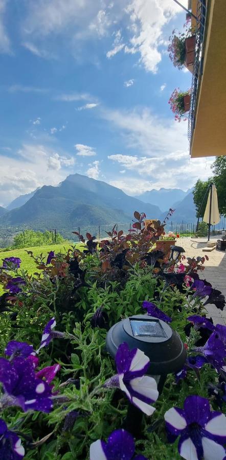Lo Noyer Et Les Roses Bed & Breakfast Saint Nicolas Exterior photo